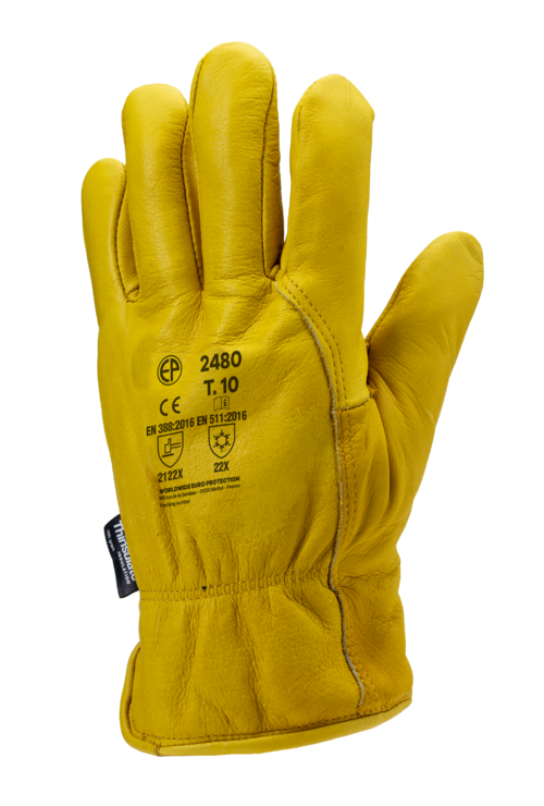 Gants EUROWINTER ALASKA fleur vachette doublé Thinsulate_MO2480_fr