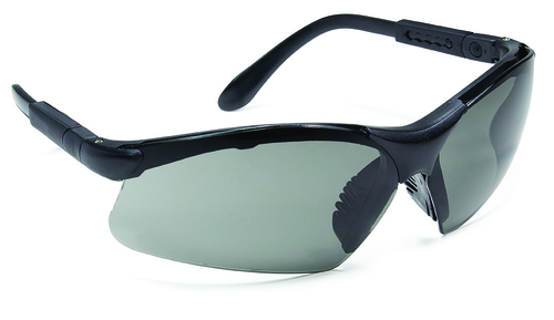 Lunettes THETA teintées – MO6THE3